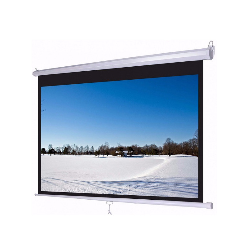 Màn chiếu treo tường Wall DALITE