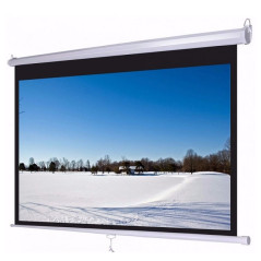 Màn chiếu treo tường Wall DALITE