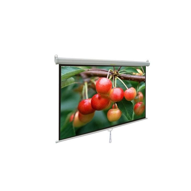 Màn Chiếu Treo 120 inch MNS220 Apollo